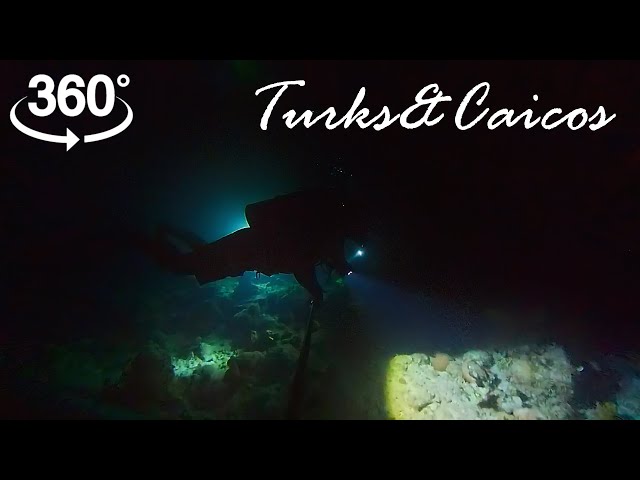 Night Diving [FULL DIVE 360]