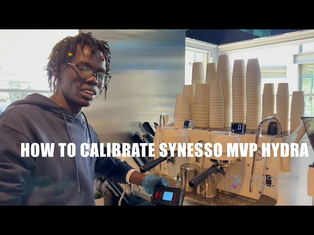 How to Calibrate Synesso Mvp Hydra 2 Group Head Espresso Coffee Machine 2022