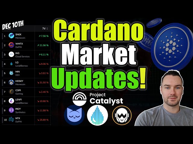 Cardano Weekly: Top Projects, Big Catalyst Moves, and Market Drama