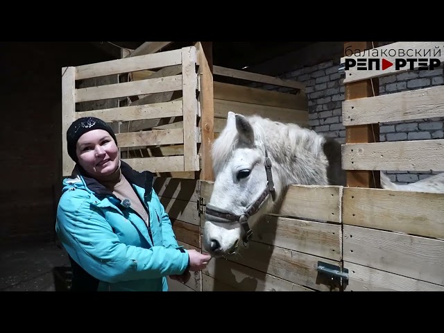 Самые лучшие люди   это кони    В Балаковском районе энтузиастка строит крытый манеж для обучения ко