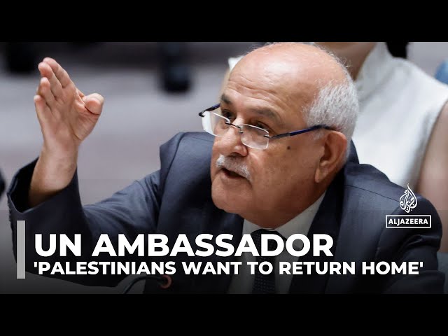 Palestinians want to return to family’s original homes: UN ambassador