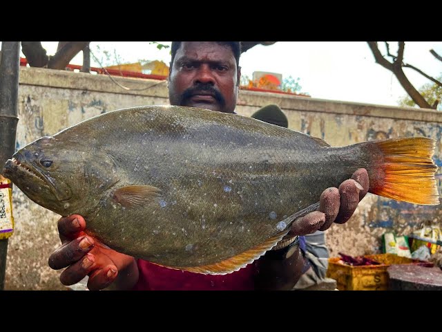 KASIMEDU 🔥 SPEED SELVAM | SOLE NAAKKU FISH CUTTING VIDEO | IN KASIMEDU | FF CUTTING 🔪