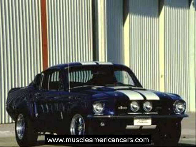 Muscle American Cars|American Muscle Cars -Shelby GTO 500