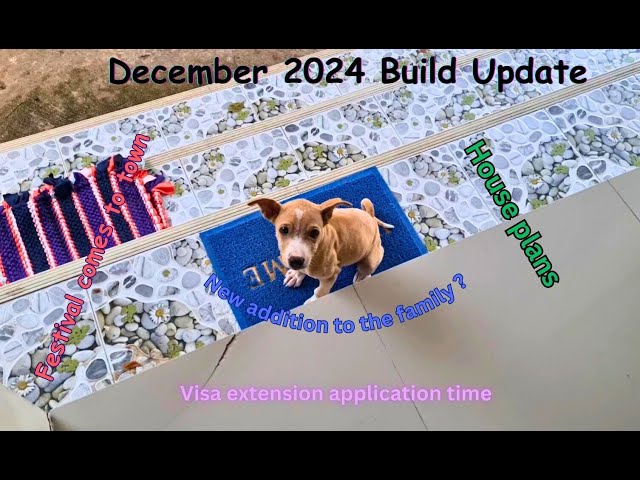 House Build Update 7 December 2024