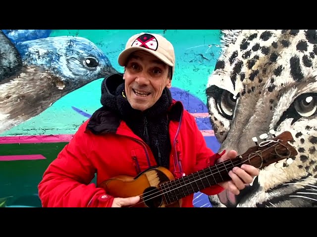 Manu Chao - Como un animal - 2a parte (Official Live Video)