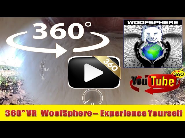 360 Videos | VR | Virtual Reality | WooFSphere | Husky Dogs Free-Ranging Part 2 in 360