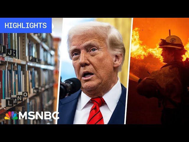 Setback to Trump, ‘President Musk’ USAID plan: Trump’s First 100 Days - Day 19 | MSNBC Highlights