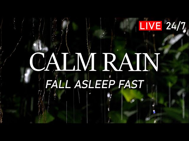 🔴 Fall Asleep Fast - Calm Rain Sounds for Sleeping. Deep Sleep, Relax, Peace of Mind, White Noise