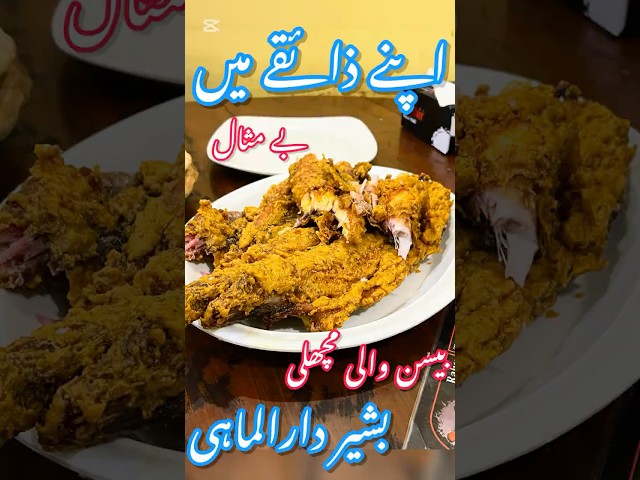 Most Famous & Delicious Fish | Best Fish in Lahore | Bashir Dar Ul Mahi | Abdul Bhai Reviews