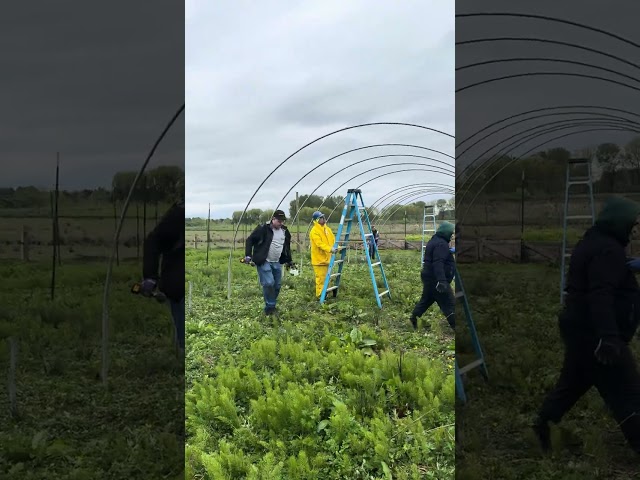 April 27, 2024: It's A Farm Raising, BearGrass Farm Hoop House Install