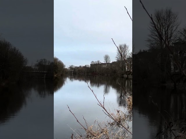 Scotland river 😫 #travel #glasgow #scotland #views #love #nature #river #duck