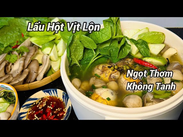 Cách Nấu Lẩu Hột Vịt Lộn Thơm Ngon, Lạ Miệng, Không Bị Tanh, Nước Dùng Ngọt Tự Nhiên #204