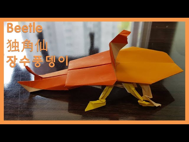 beetle origami_独角仙折纸_장수풍뎅이 종이접기_beetles_独角仙_장수풍뎅이