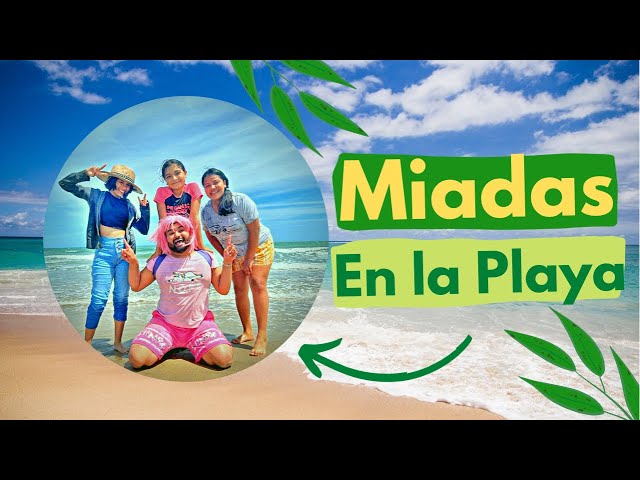 Las miadas se van a la playa | termina mal