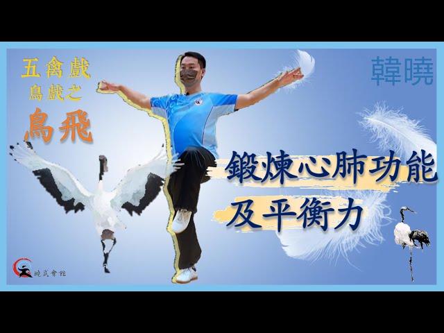 【動作講解】五禽戲鳥戲 - 鳥飛 | 鍛煉心肺功能和人體的平衡力 | 韓曉