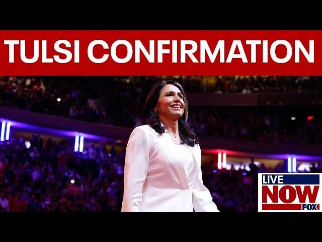 LIVE: Tulsi Gabbard confirmation hearing