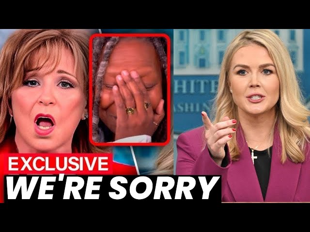 "The View" hosts apologize to Karoline Leavitt for controversial remarks.