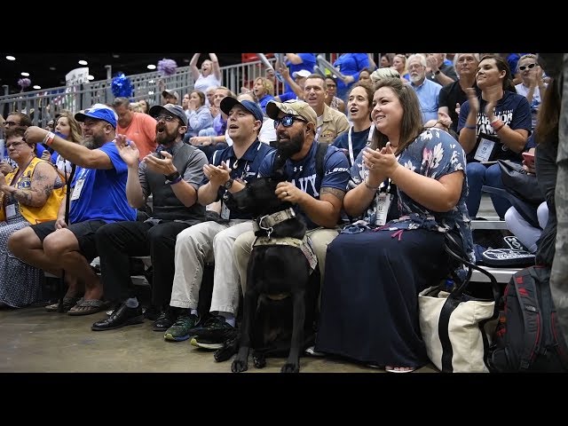 Service Dogs: More than Man's Best Friend for Team Navy Athletes