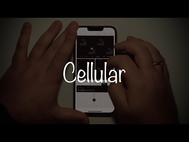 Cellular | iOS music synthesizer | Application first test