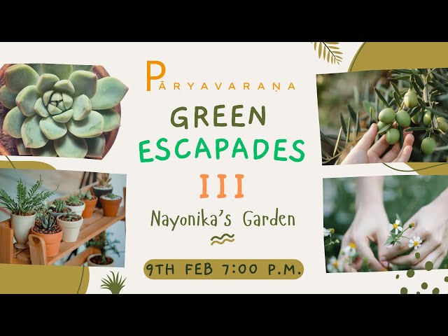 Green Escapades III | Guest Session