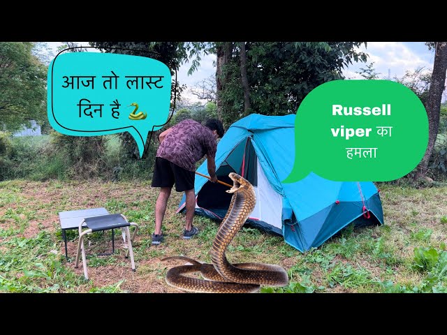 Russell Viper Camping Tent Mein Ghussa |Camping video | solo camping in the jungle |Indian forest