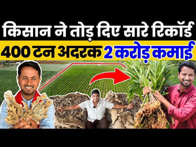 22 एकड़ Ginger Farming मैं बंपर कमाई💯💰एक एकड़ में होगा इतना Profit💰Indian Farmer