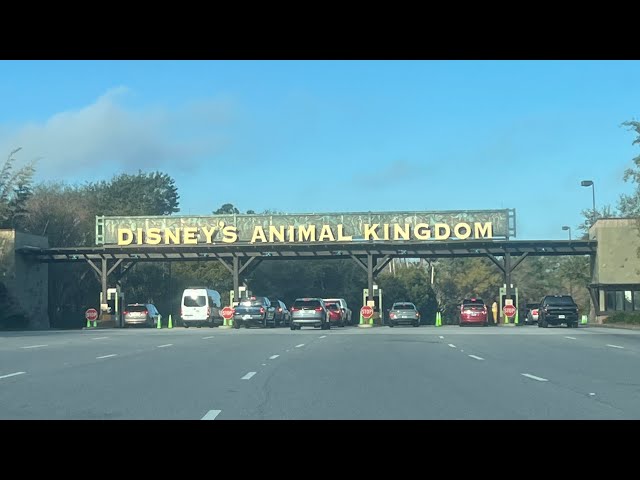 Animal Kingdom Trip after work!!!!