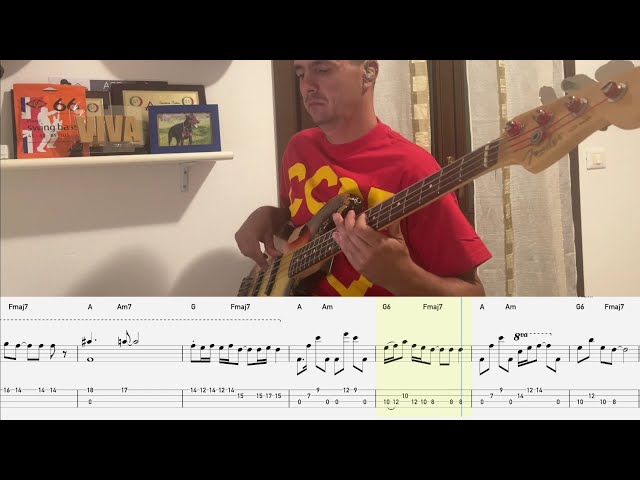 Under The Bridge, Red Hot Chili Peppers (Bass line from Slane Castle with tab and notation)