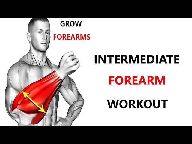 INTERMEDIATE FOREARM WORKOUT  MUSCLE BUILDING WORKOUT