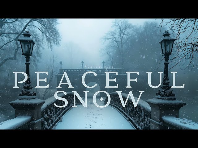 Winter's Silent Embrace | Dark Academia Piano & Strings for Study & Reflection