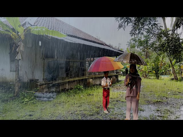 [4K] Charm Rain in Agricultural Land Pangandaran | Walking in the Rain in Indonesian Irrigation Area