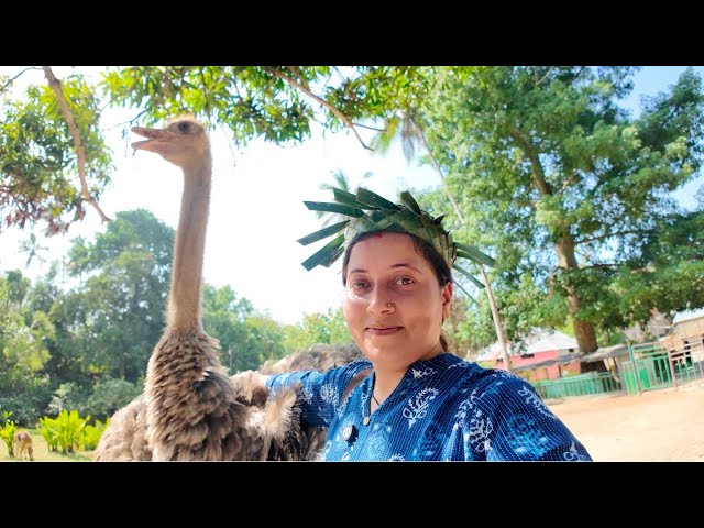 Dar Es Salaam to Zanzibar 🥰|| Evening in Stone Town 🏘️|| Deepika