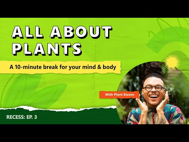 10 Minute All About Plants | Recess: Episode 3​