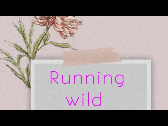 김석진 Jin "Running wild" lyrics