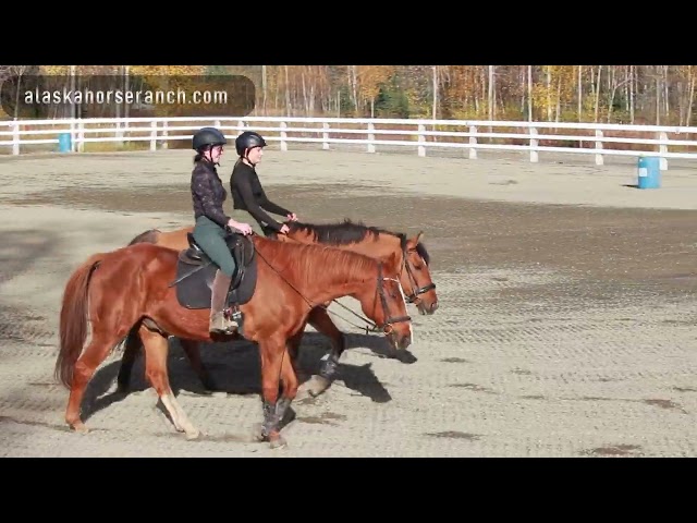 Alaska Horse Ranch TV Spot 1