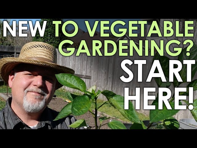 Absolute Beginner's Guide to Starting a Vegetable Garden || Black Gumbo