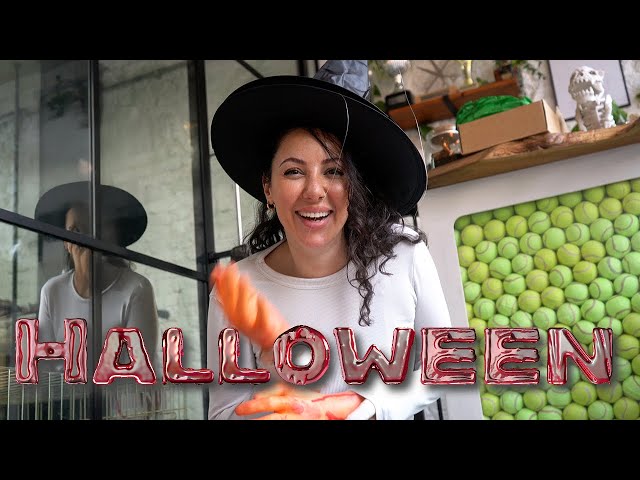 Day in the Life of a Dog Groomer Ep 12 | Halloween Edition 👻