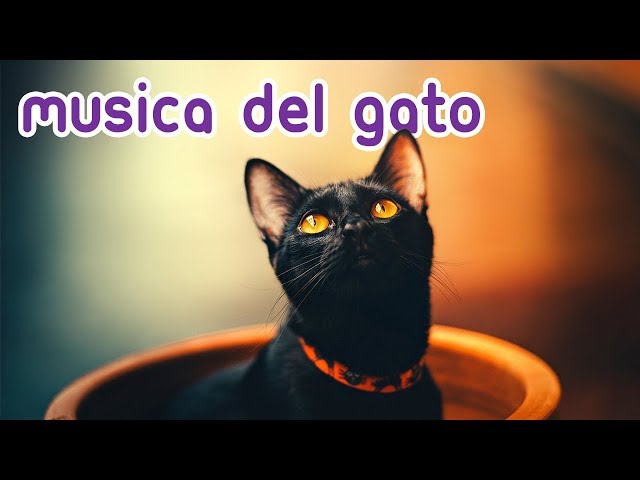 💫 Magical Music for Cats - Relax and Calm your Feline Instantly