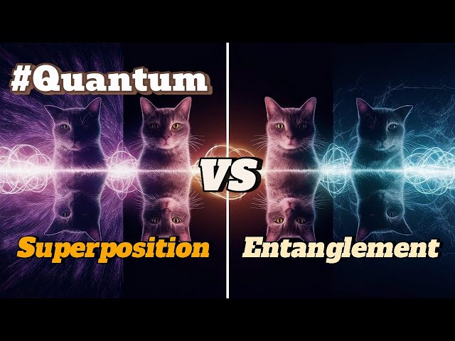 Quantum Superposition vs Quantum Entanglement