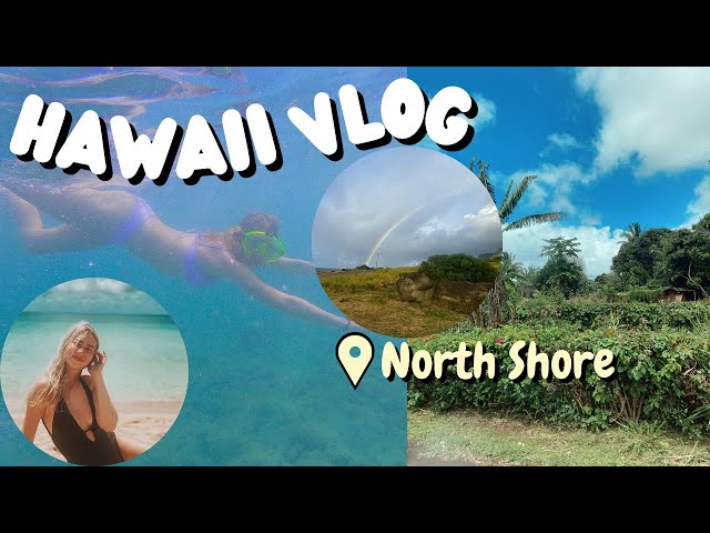 Hawaii vlog with friends || Oahu Hawaii Vlog || North Shore ||