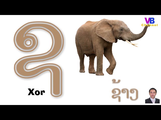 Learn Lao - E.P 1 : Lesson 1 : Lao Alphabet (New Version) - ບົດທີ 1 : ພະຍັນຊະນະພາສາລາວ (ເວີຊັນໃໝ່)