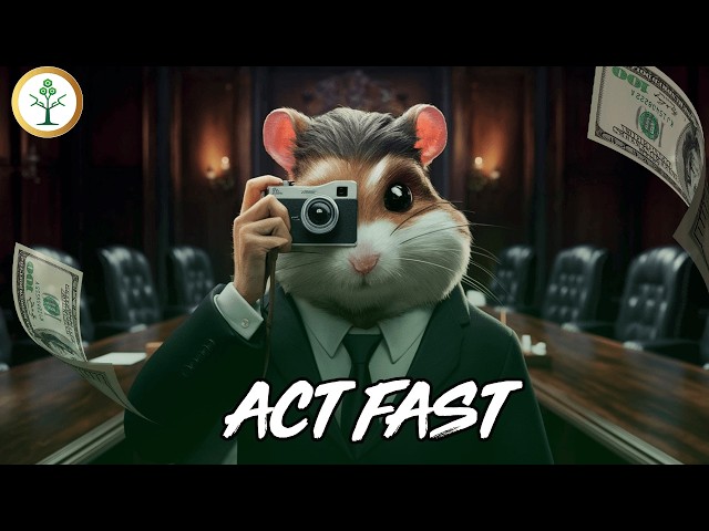 7 Things You Can Still Do Before Hamster Kombat Snapshot