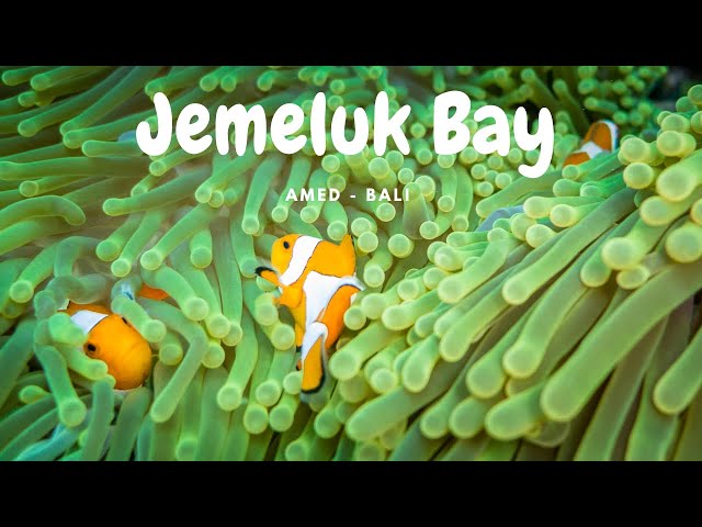 O melhor lugar para praticar snorkeling em Bali - Jemeluk Bay