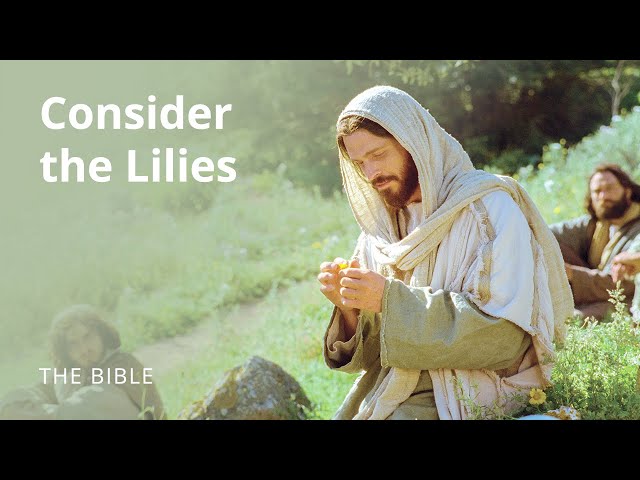 Luke 12 | Seek Ye the Kingdom of God | The Bible