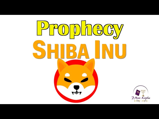 Vision Prophecy - Shiba Inu #cryptocurrency #prophecy #Bible #prophetic #shibainu