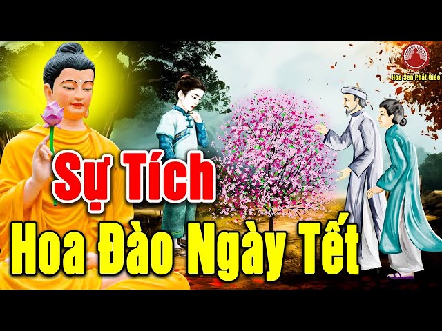 Kể Truyện Đêm Khuya, Sự Tích Hoa Đào Vì Sao Hoa Đào Được Chưng Trong Ngày Tết - Chuyện Phật Giáo Hay