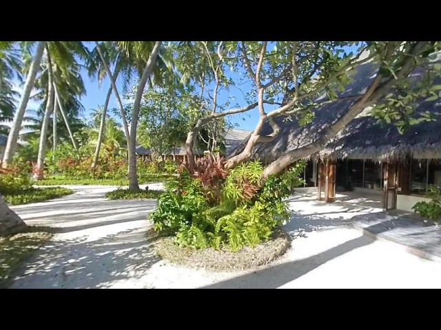 Rékalandok - Meeru Island - Maldives - VR180 walking