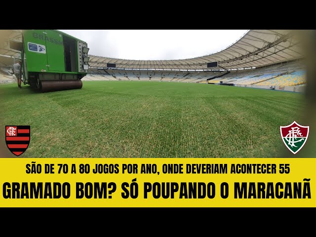 Gramado natural 100%? Fla, Flu, Palmeiras, Botafogo e Galo teriam que trocar de casa em alguns jogos