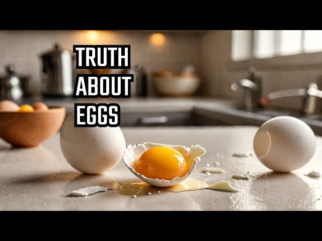 Why You Shouldn't Fear Eggs Anymore!