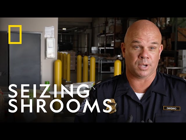 Seizing Contraband Shrooms | To Catch a Smuggler | National Geographic UK